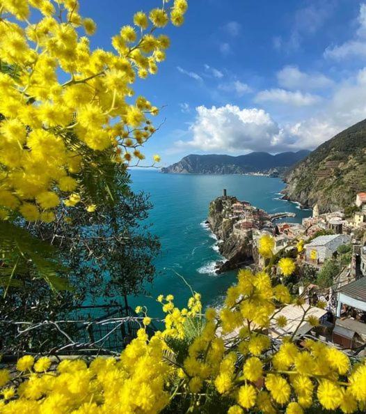 Appartamento Linda A Pochi Passi Dal Mare - 011030-Lt-0357 فيرناتْسا المظهر الخارجي الصورة